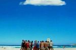 Fosters - Cloud Followers